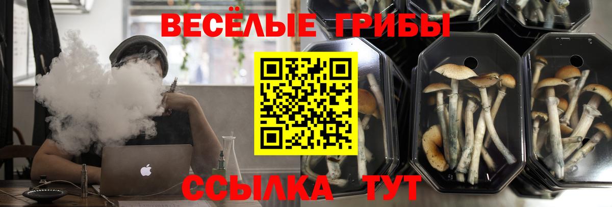 Галлюциногенные грибы Cubensis  Вход с VPN  Шебекино  Псилоцибиновые грибы Cubensis 