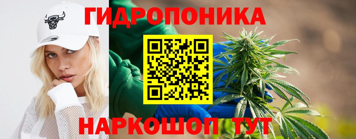 Шишки марихуана Bruce Banner  Вход с VPN  Каннабис VHQ  Шебекино  МАРИХУАНА SATIVA & INDICA 